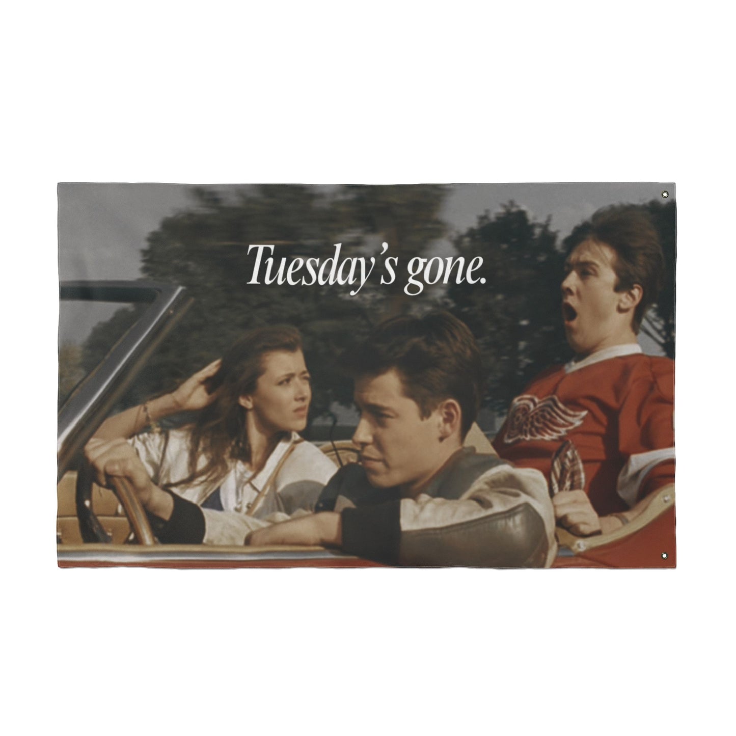 Bueller Tuesday's Gone Flag